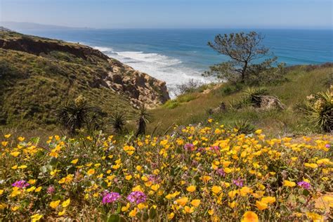 These are the most photographed parks in California, Yelp says